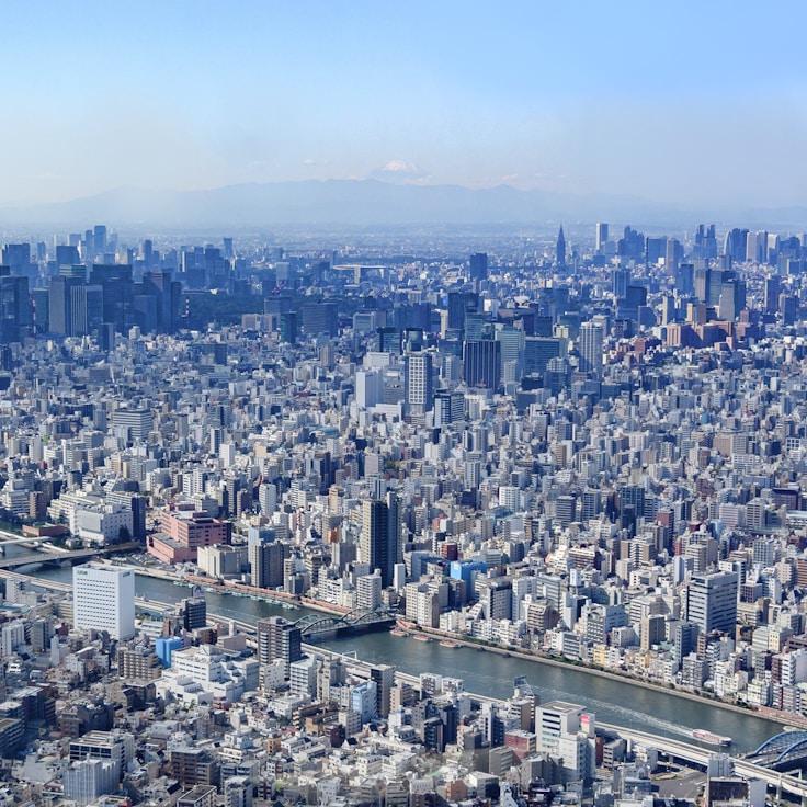 Family routine and school logistics in Barcelona