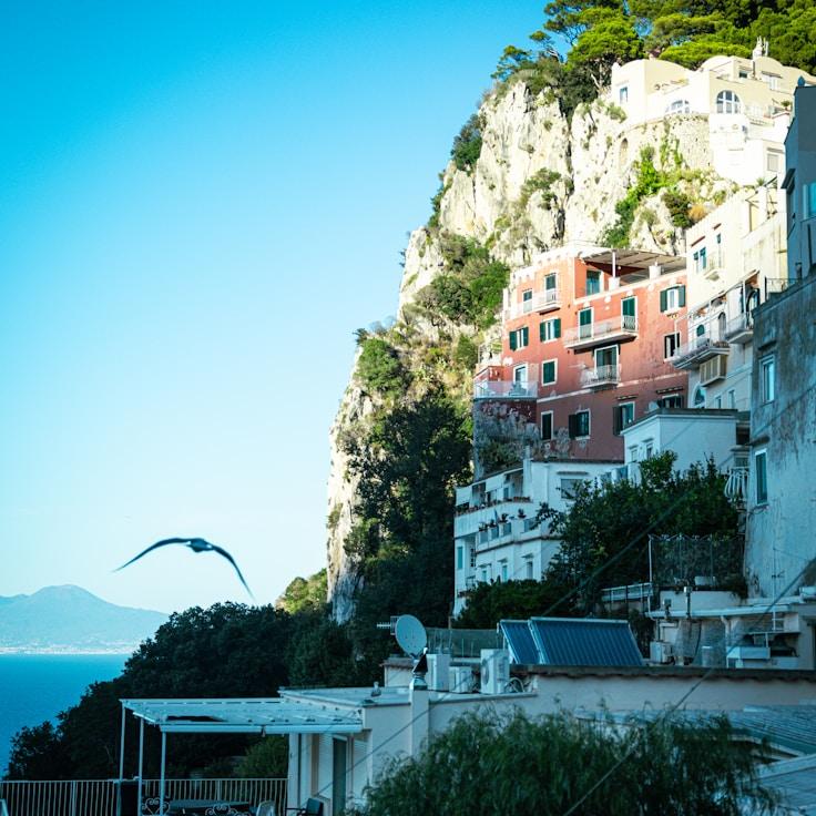 Family terraces and cafés for calm evenings in Barcelona